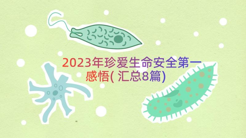 2023年珍爱生命安全第一感悟(汇总8篇)