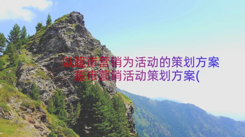 以超市营销为活动的策划方案 超市营销活动策划方案(实用17篇)