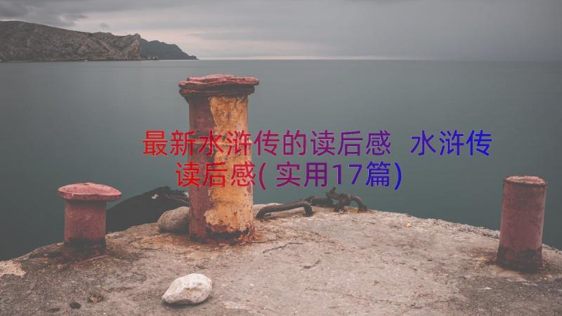 最新水浒传的读后感 水浒传读后感(实用17篇)