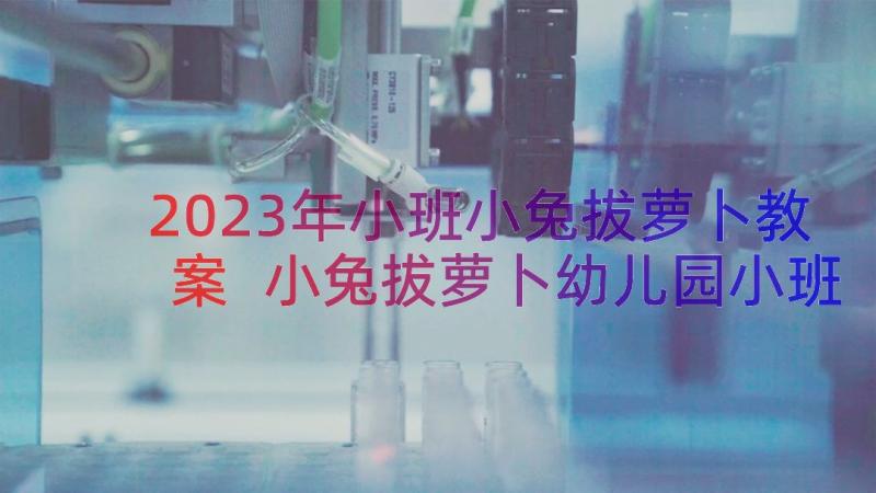 2023年小班小兔拔萝卜教案 小兔拔萝卜幼儿园小班教案(精选18篇)