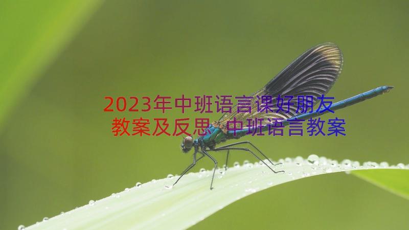 2023年中班语言课好朋友教案及反思 中班语言教案好朋友(实用12篇)