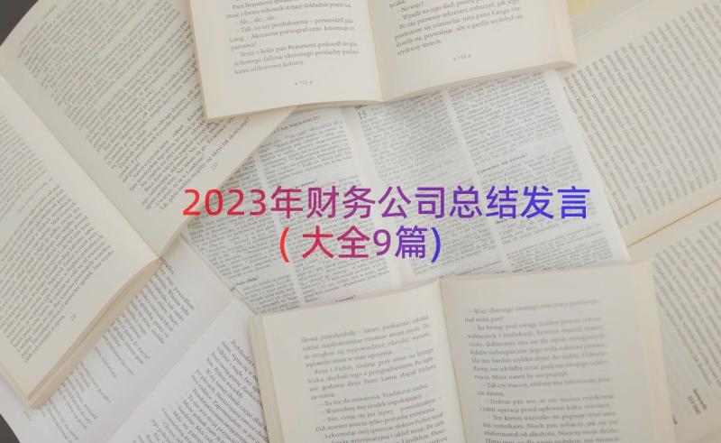 2023年财务公司总结发言(大全9篇)