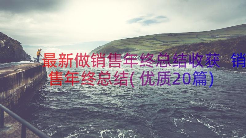 最新做销售年终总结收获 销售年终总结(优质20篇)