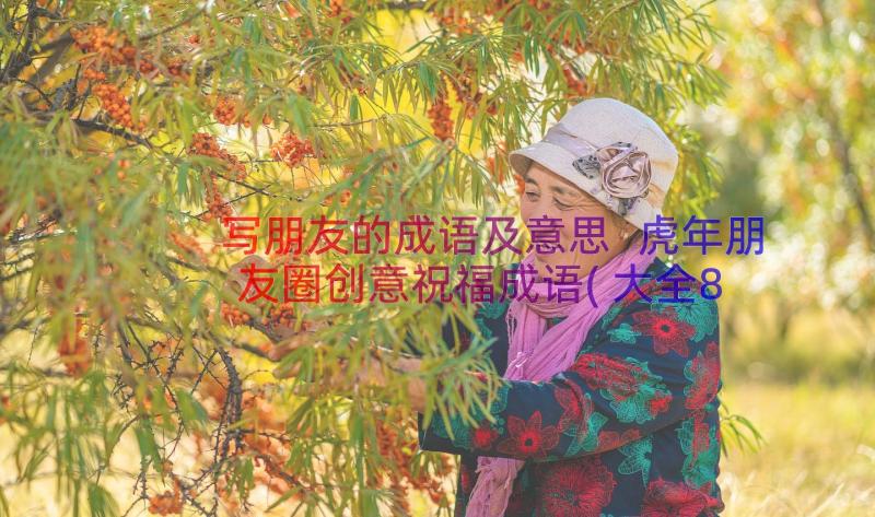 写朋友的成语及意思 虎年朋友圈创意祝福成语(大全8篇)