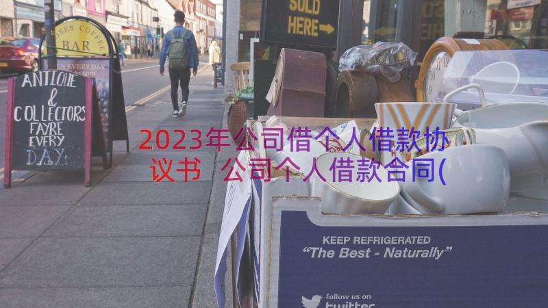 2023年公司借个人借款协议书 公司个人借款合同(大全10篇)