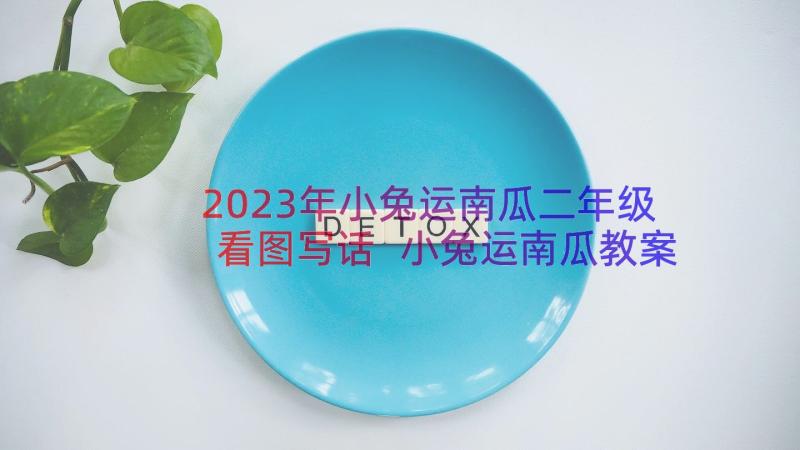 2023年小兔运南瓜二年级看图写话 小兔运南瓜教案(优质15篇)