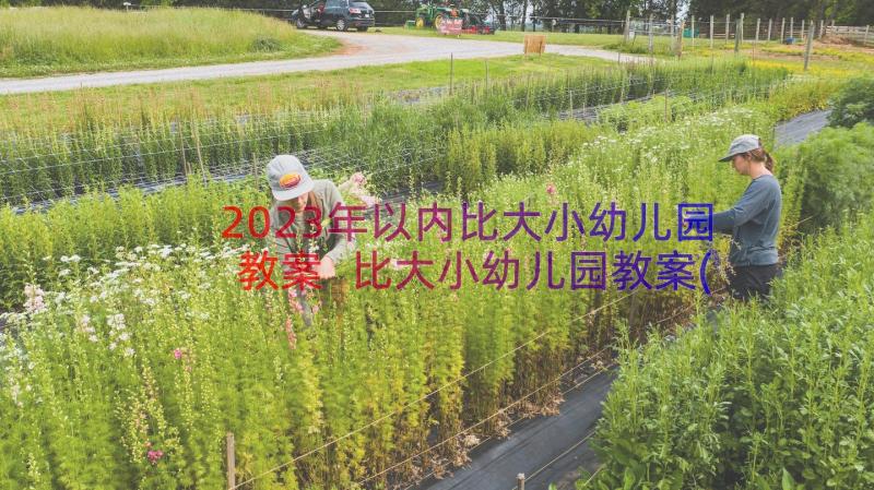 2023年以内比大小幼儿园教案 比大小幼儿园教案(大全15篇)