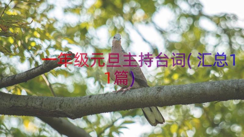 一年级元旦主持台词(汇总11篇)