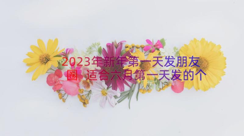 2023年新年第一天发朋友圈 适合六月第一天发的个性句子(大全16篇)