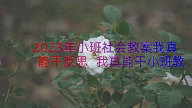 2023年小班社会教案我真能干反思 我真能干小班教案(优秀8篇)