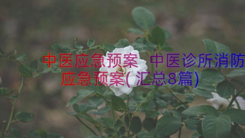 中医应急预案 中医诊所消防应急预案(汇总8篇)