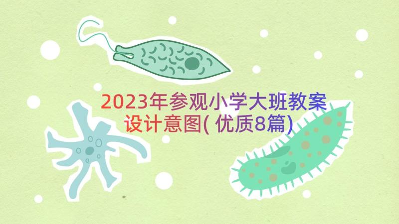 2023年参观小学大班教案设计意图(优质8篇)