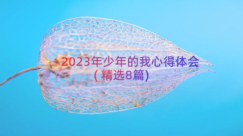 2023年少年的我心得体会(精选8篇)