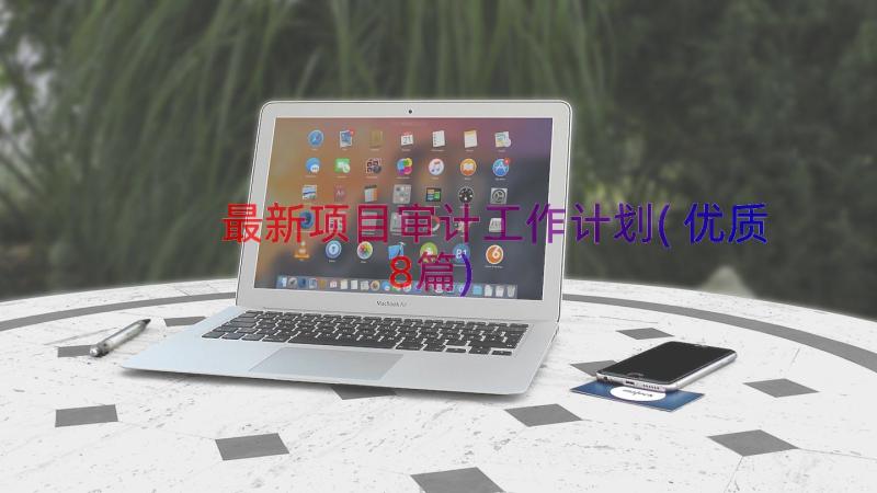 最新项目审计工作计划(优质8篇)