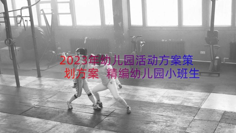 2023年幼儿园活动方案策划方案 精编幼儿园小班生活活动方案(汇总8篇)