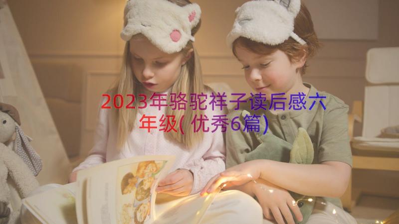 2023年骆驼祥子读后感六年级(优秀6篇)