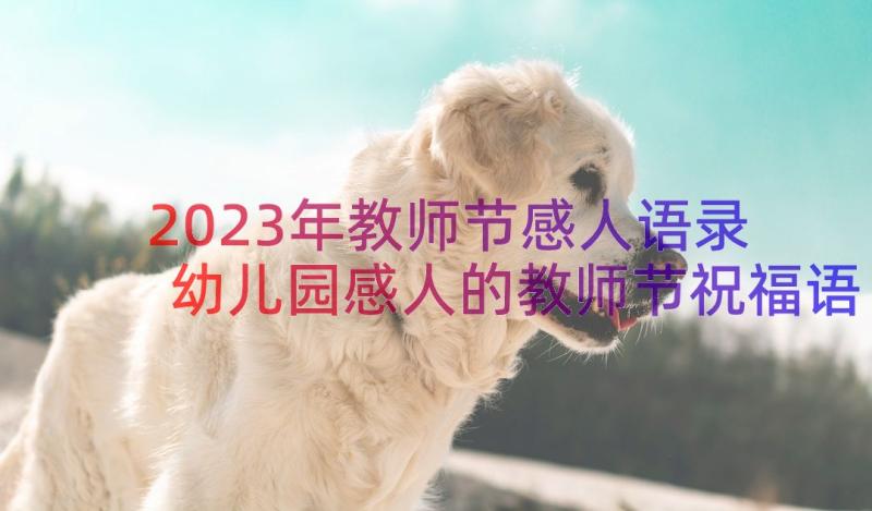 2023年教师节感人语录 幼儿园感人的教师节祝福语(实用5篇)