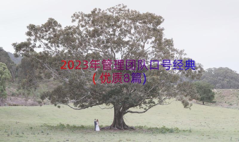 2023年管理团队口号经典(优质8篇)