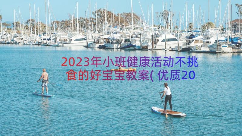 2023年小班健康活动不挑食的好宝宝教案(优质20篇)