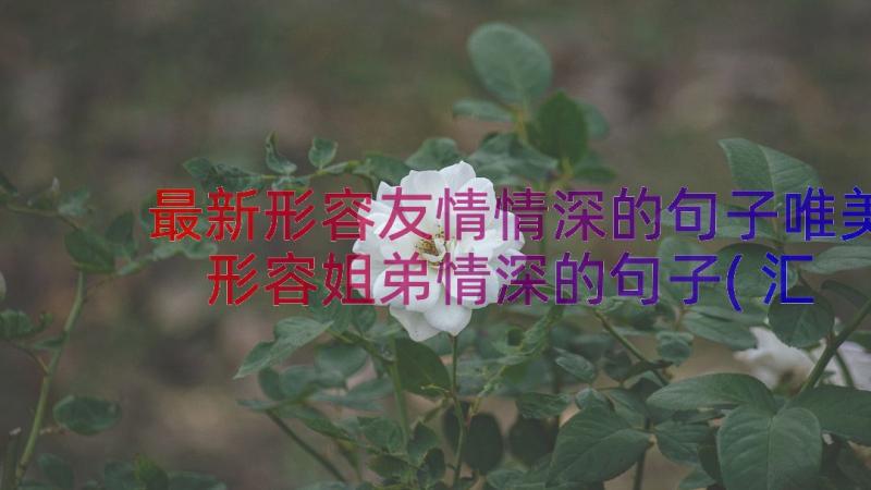 最新形容友情情深的句子唯美 形容姐弟情深的句子(汇总15篇)