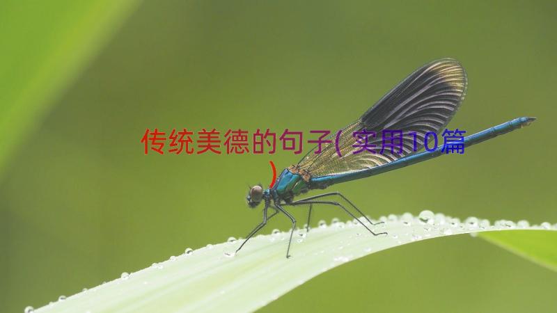 传统美德的句子(实用10篇)