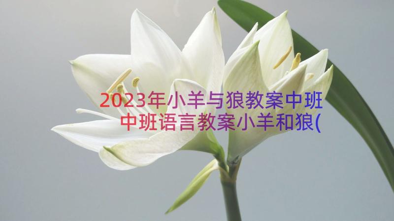 2023年小羊与狼教案中班 中班语言教案小羊和狼(通用8篇)