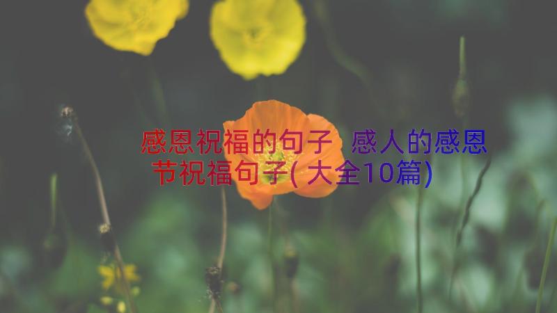 感恩祝福的句子 感人的感恩节祝福句子(大全10篇)