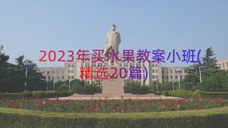 2023年买水果教案小班(精选20篇)