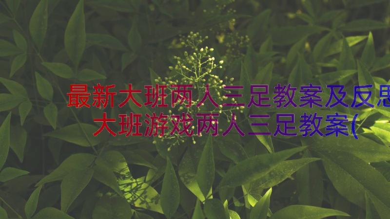 最新大班两人三足教案及反思 大班游戏两人三足教案(精选8篇)