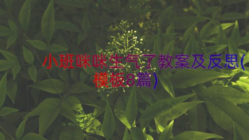 小班咪咪生气了教案及反思(模板8篇)