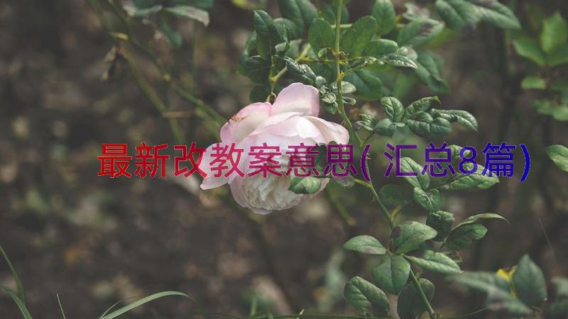 最新改教案意思(汇总8篇)