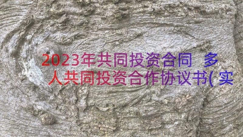 2023年共同投资合同 多人共同投资合作协议书(实用8篇)