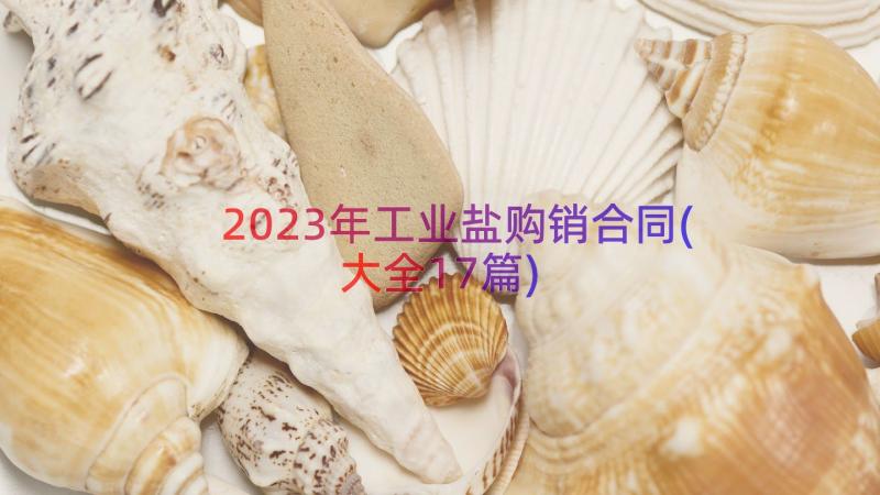 2023年工业盐购销合同(大全17篇)