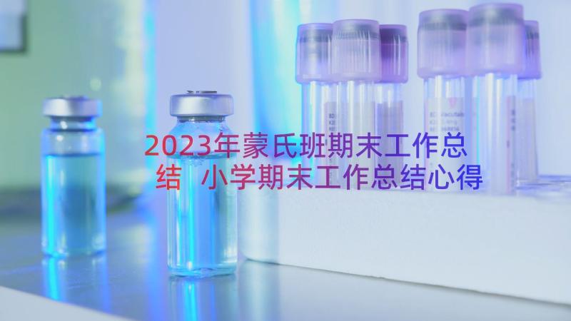 2023年蒙氏班期末工作总结 小学期末工作总结心得体会(优质17篇)