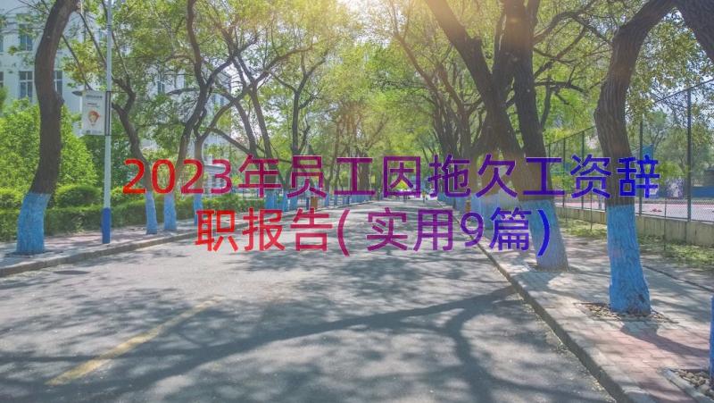 2023年员工因拖欠工资辞职报告(实用9篇)