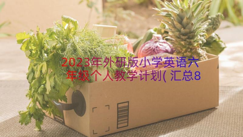 2023年外研版小学英语六年级个人教学计划(汇总8篇)