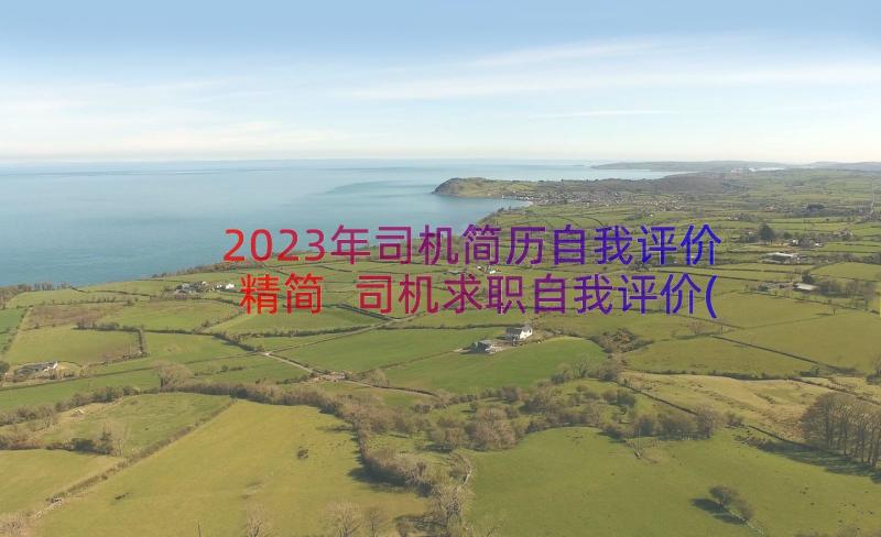 2023年司机简历自我评价精简 司机求职自我评价(汇总14篇)