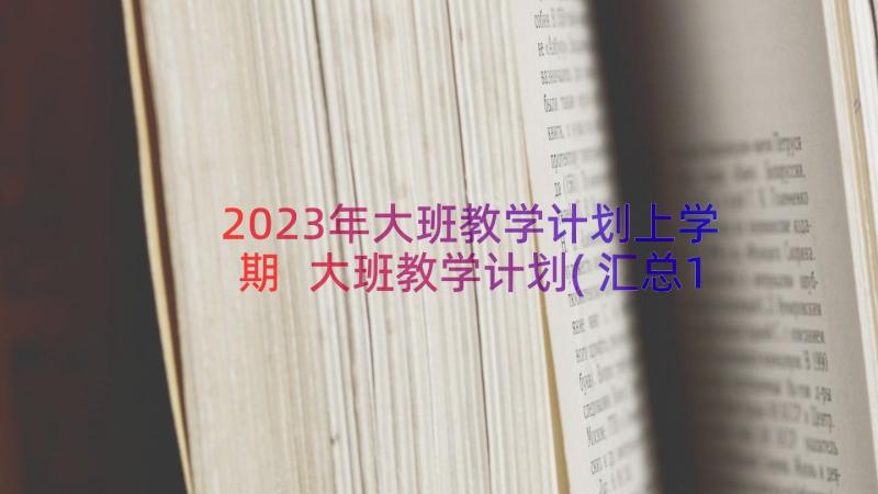 2023年大班教学计划上学期 大班教学计划(汇总12篇)