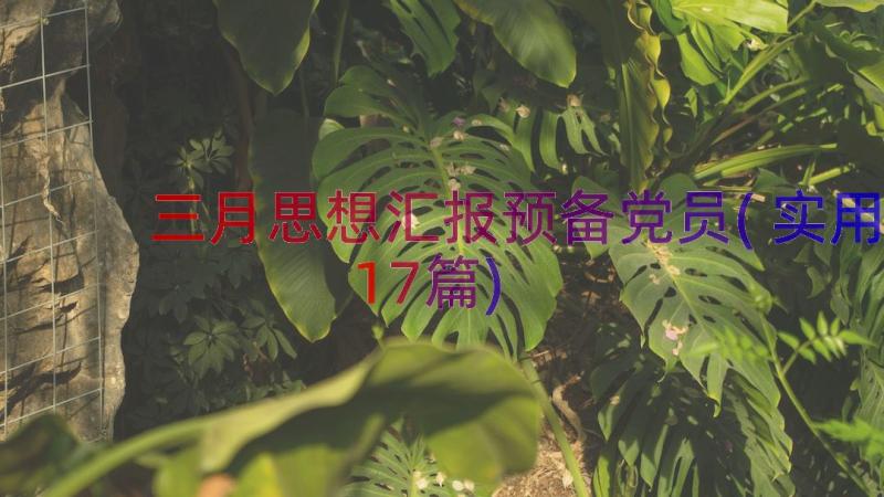 三月思想汇报预备党员(实用17篇)