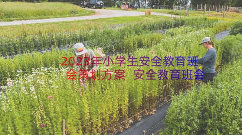 2023年小学生安全教育班会策划方案 安全教育班会策划方案(大全8篇)