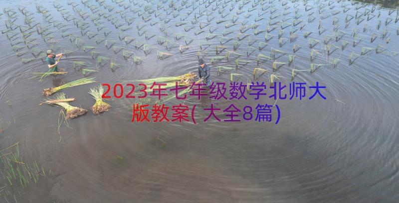 2023年七年级数学北师大版教案(大全8篇)