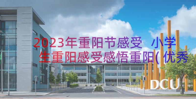 2023年重阳节感受 小学生重阳感受感悟重阳(优秀8篇)