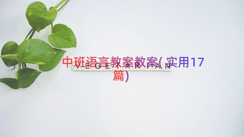 中班语言教案教案(实用17篇)