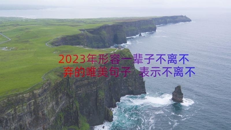 2023年形容一辈子不离不弃的唯美句子 表示不离不弃的唯美句子(汇总8篇)