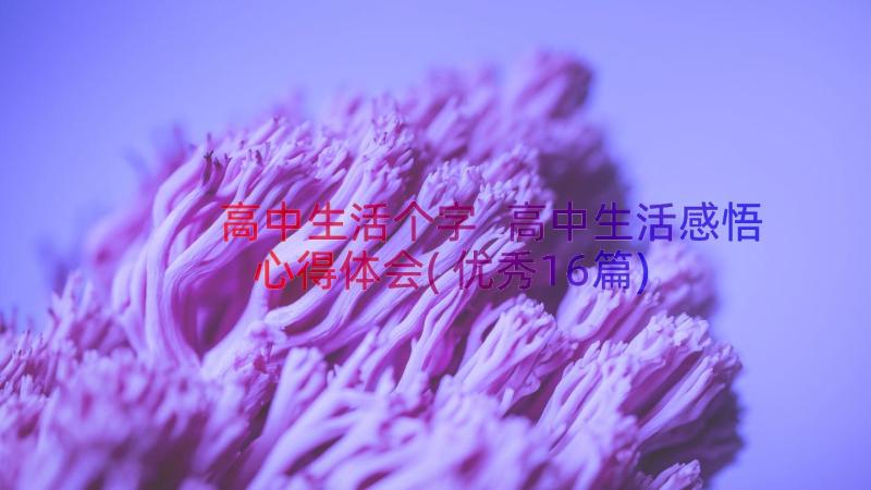 高中生活个字 高中生活感悟心得体会(优秀16篇)