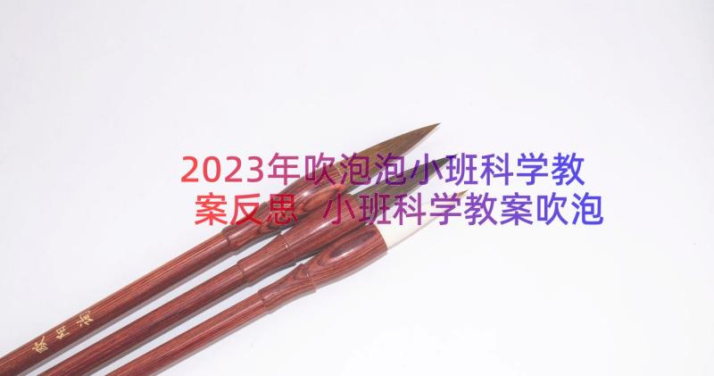 2023年吹泡泡小班科学教案反思 小班科学教案吹泡泡(大全8篇)