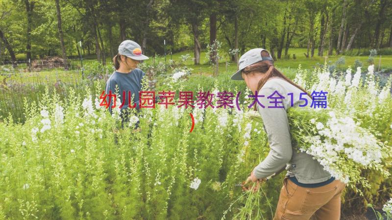 幼儿园苹果教案(大全15篇)