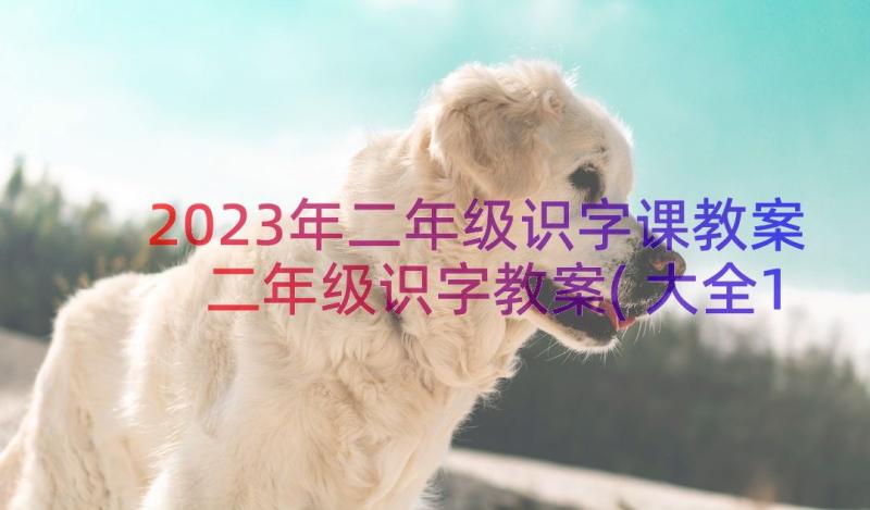 2023年二年级识字课教案 二年级识字教案(大全11篇)