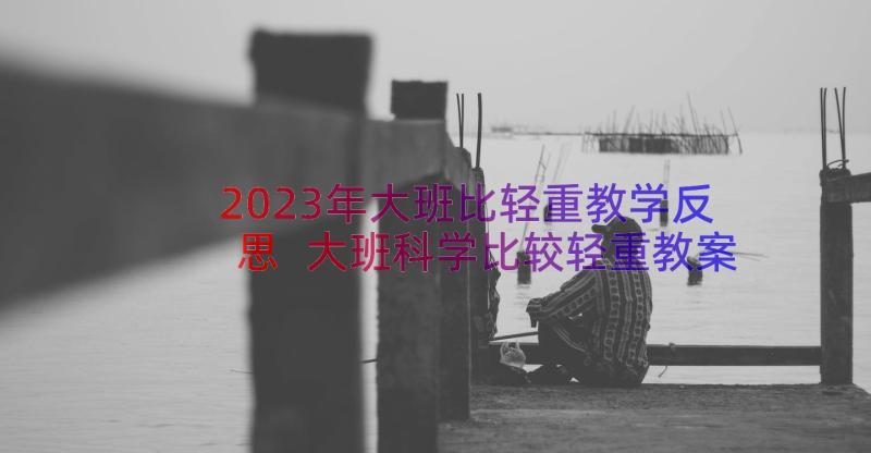 2023年大班比轻重教学反思 大班科学比较轻重教案(精选8篇)