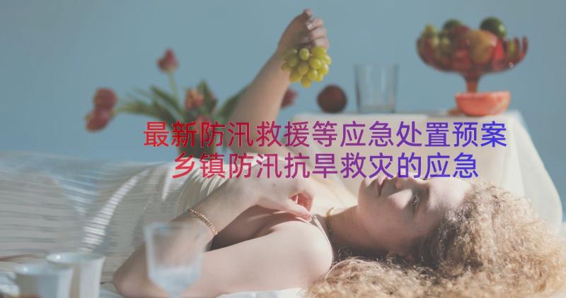 最新防汛救援等应急处置预案 乡镇防汛抗旱救灾的应急预案(实用8篇)